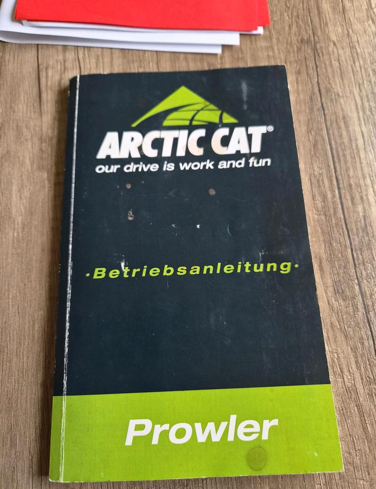 Weitere Motorräder Utv 4x4 Arctic Cat Prowler 2010 — photo 5