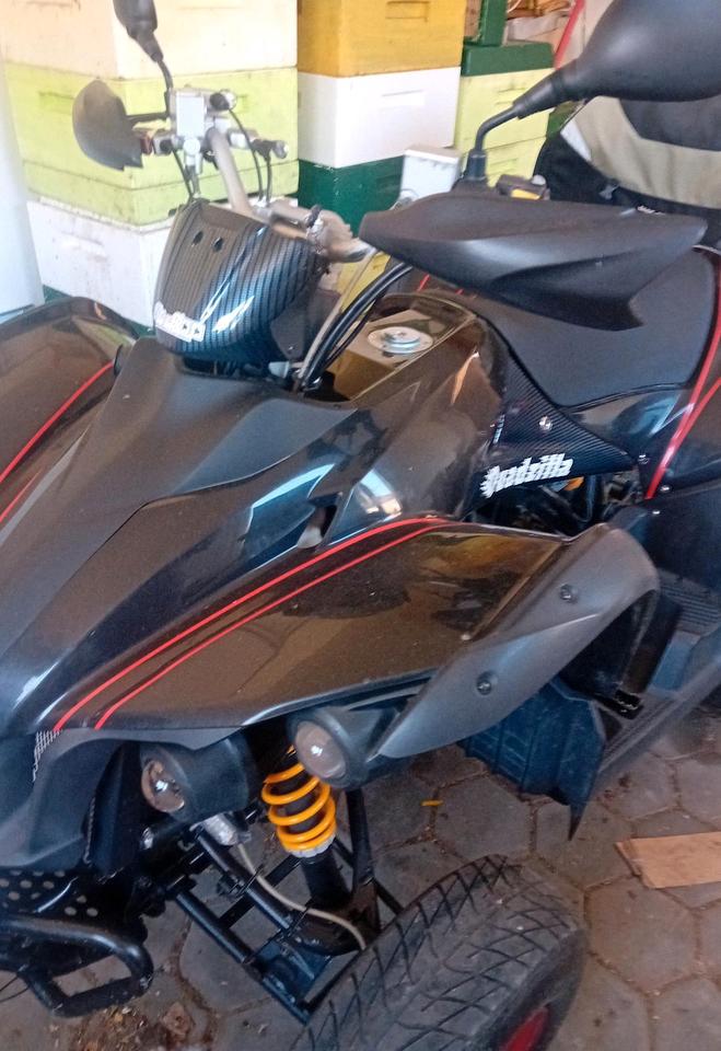  quad quads 2012 — interior