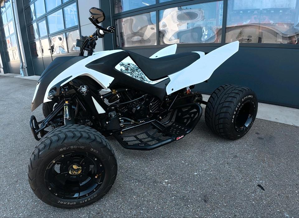 Weitere Motorräder Quad Adly 500S 2013 — rear view