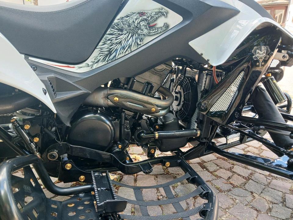 Weitere Motorräder Quad Adly 500S 2013 — photo 8
