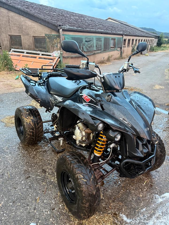 Weitere Motorräder Quad tgb Target kein Yamaha, can am.. 2012 — rear view
