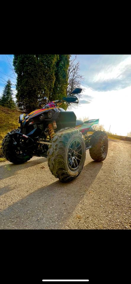 Weitere Motorräder Can-Am Renegade 810R Quad 2010 — rear view