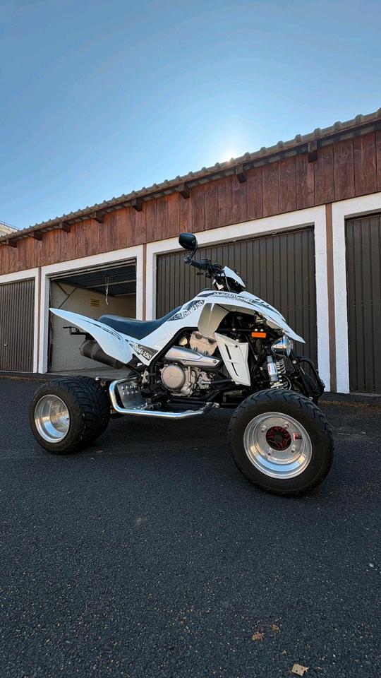 Dinli 450 Quad 2012 — авто для ЗСУ з Європи