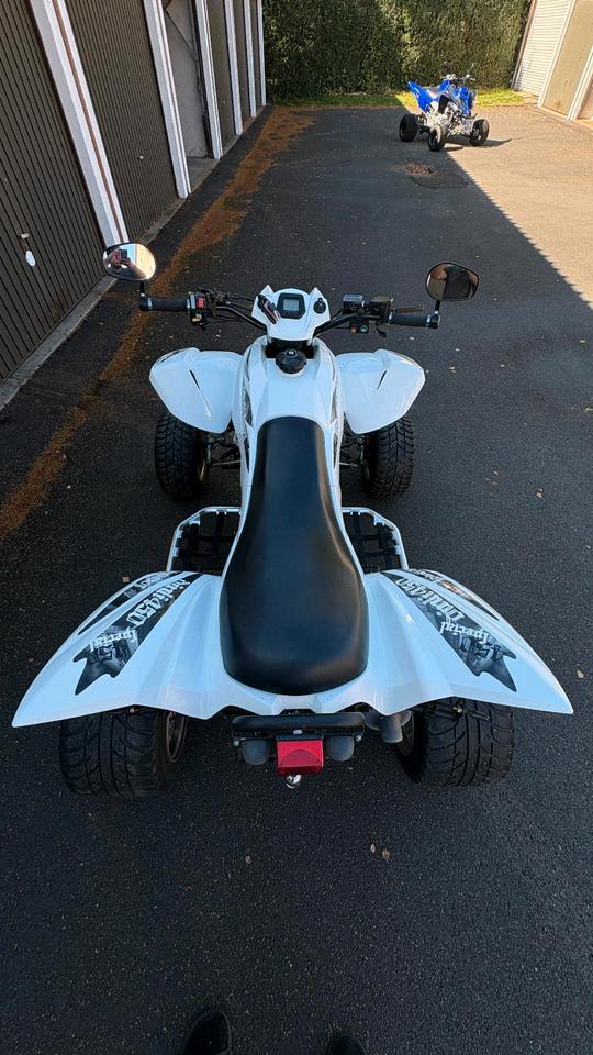  Dinli 450 Quad 2012 — салон