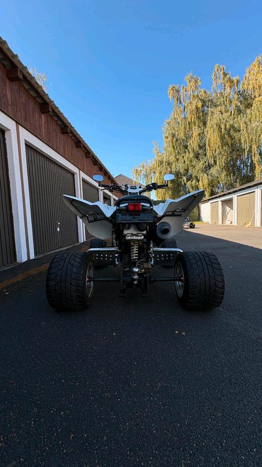  Dinli 450 Quad 2012 — двигун 450 ccm
