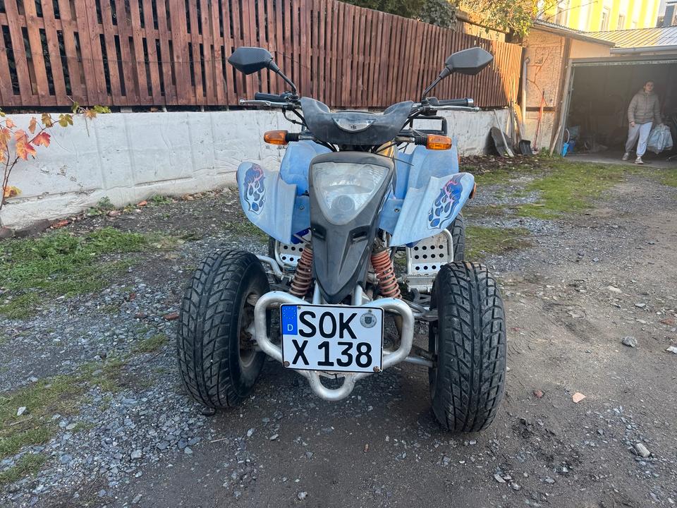 Weitere Motorräder Quad Extreme 300 ccm.TÜV10/2027., 2006