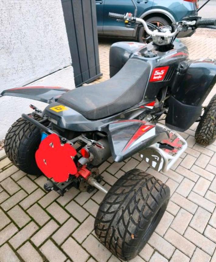 Weitere Motorräder Beeline bestia 5.5 Lof 2012 — rear view