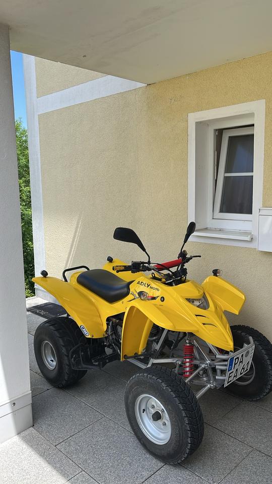 Weitere Motorräder Adly Quad 300ccm 2006 — rear view
