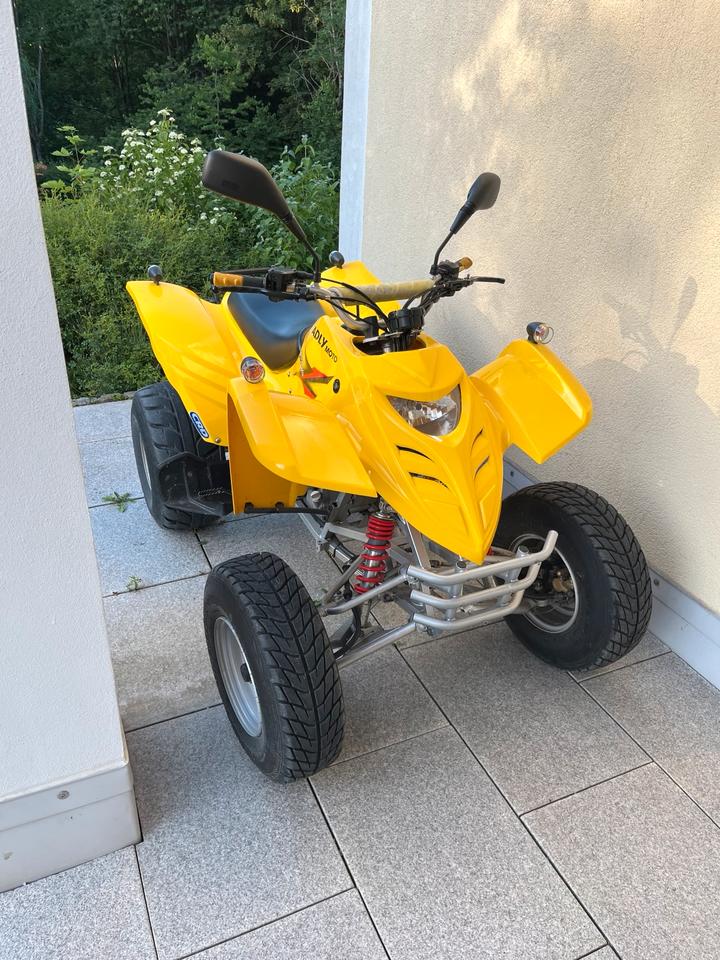Weitere Motorräder Adly Quad 300ccm 2006 — interior