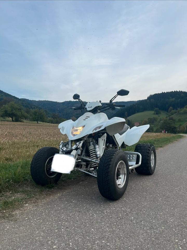Weitere Motorräder Dinli 450 Special, 9000km, frischer TÜV inkl. Zubehör 2012 — vehicle for AFU Ukraine