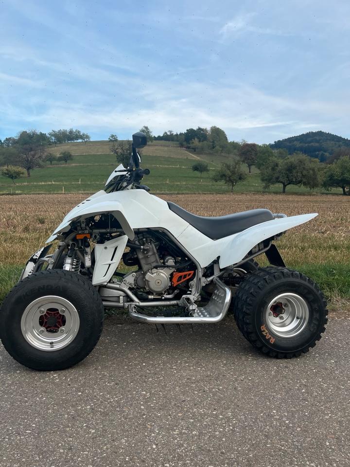 Weitere Motorräder Dinli 450 Special, 9000km, frischer TÜV inkl. Zubehör 2012 — rear view