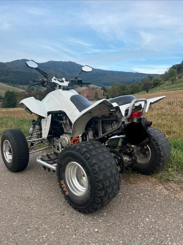 Weitere Motorräder Dinli 450 Special, 9000km, frischer TÜV inkl. Zubehör 2012 — interior