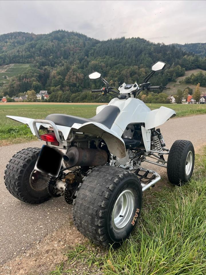 Weitere Motorräder Dinli 450 Special, 9000km, frischer TÜV inkl. Zubehör 2012 — engine 450 ccm