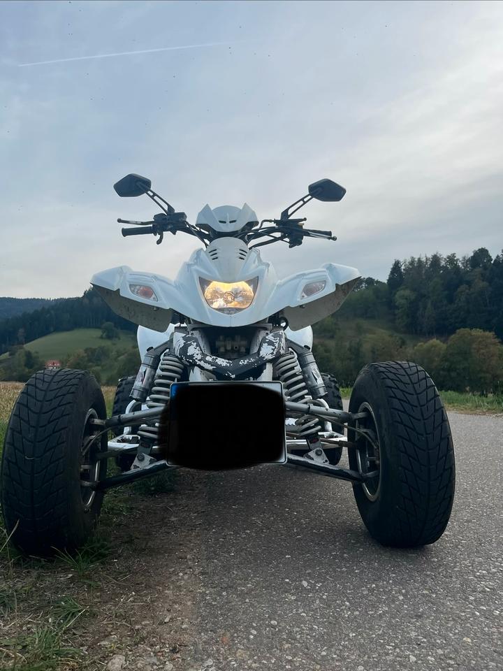 Weitere Motorräder Dinli 450 Special, 9000km, frischer TÜV inkl. Zubehör 2012 — photo 7