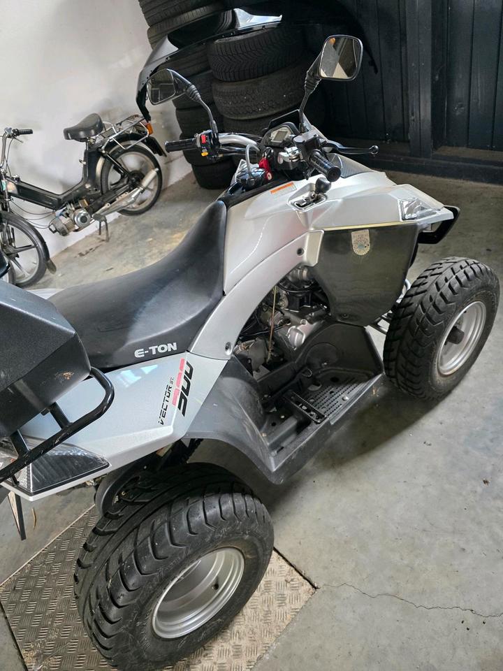 Weitere Motorräder E-Ton Vector 300ccm Quad 2012 — rear view