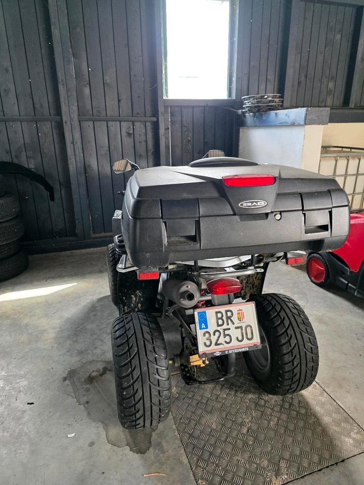Weitere Motorräder E-Ton Vector 300ccm Quad 2012 — interior