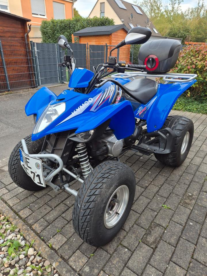 Kymco Maxxer 250 Quad 2008 — vehicle for AFU Ukraine