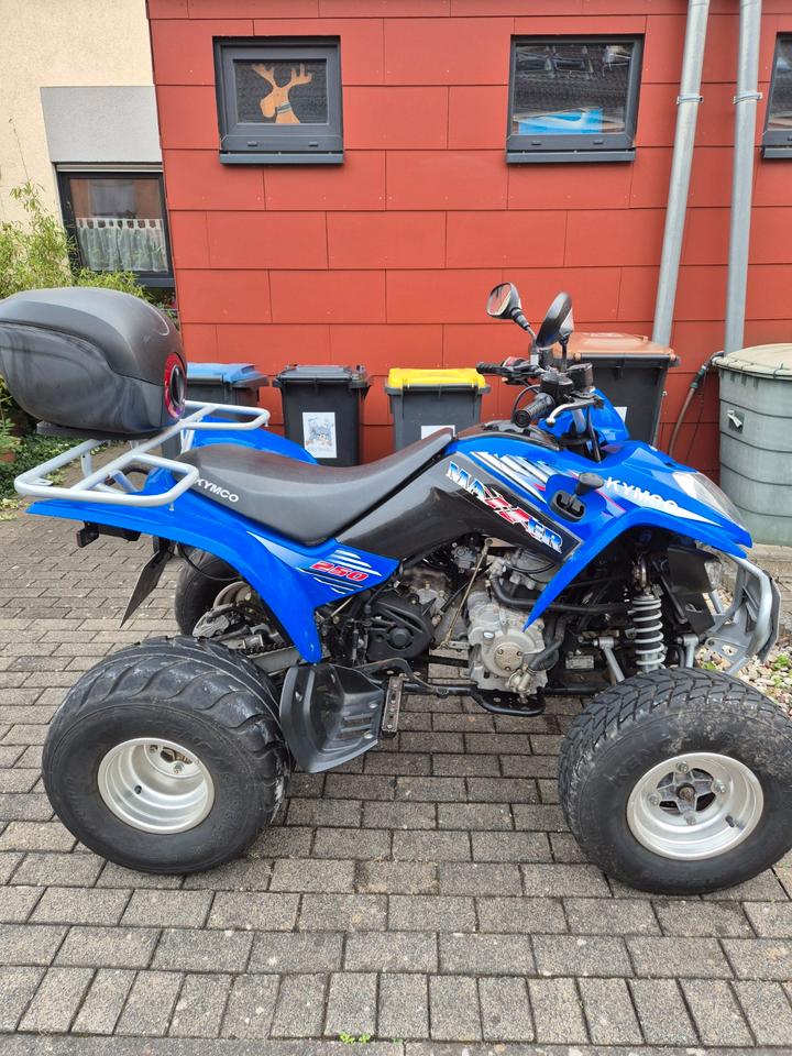 Kymco Maxxer 250 Quad 2008 — rear view