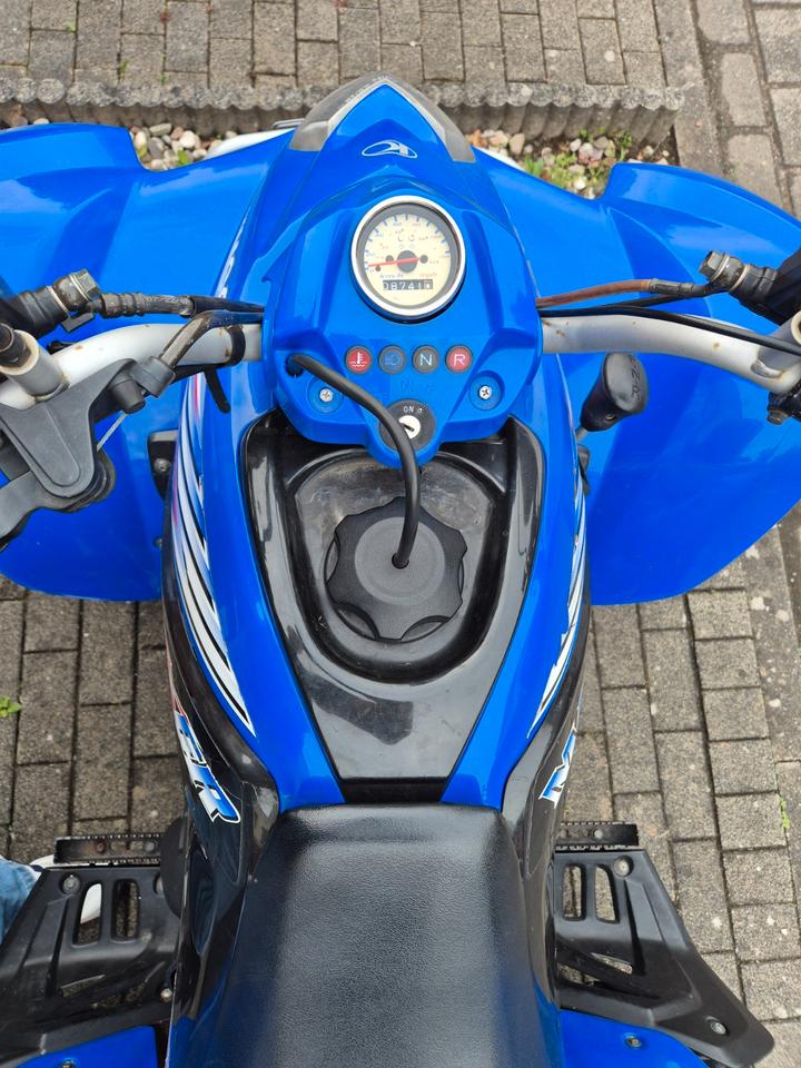 Kymco Maxxer 250 Quad 2008 — interior