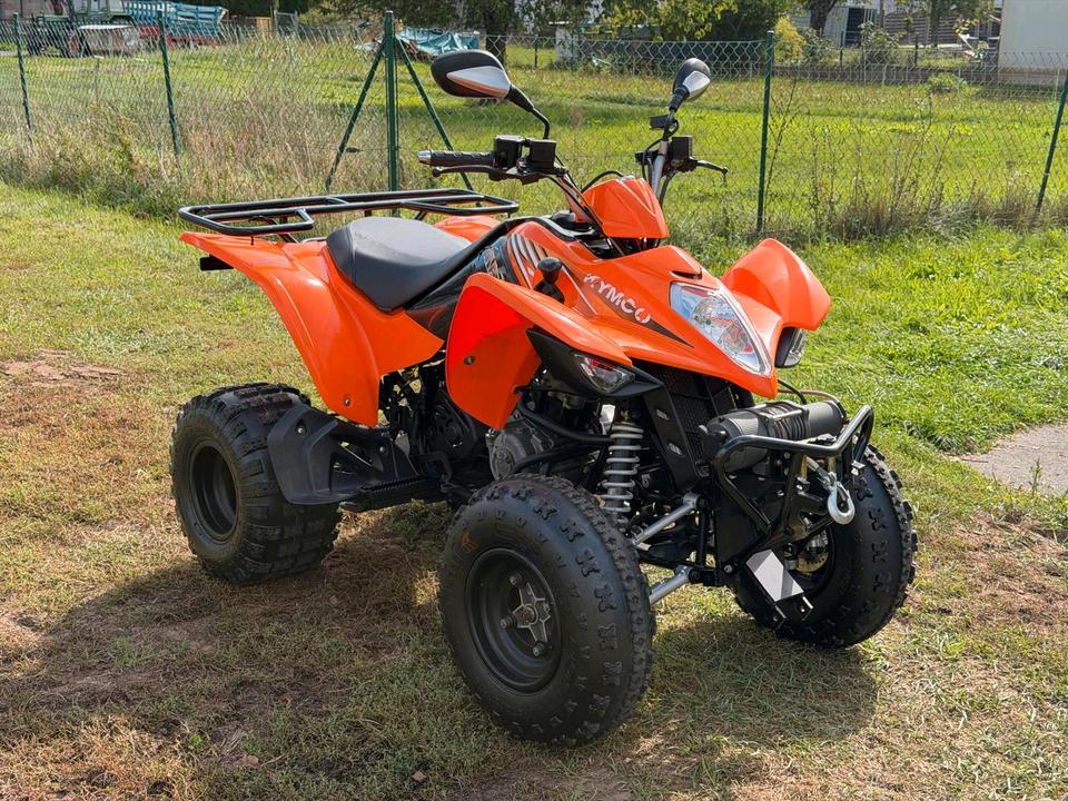 Kymco ATV/QUAD KYMCO MAXXER 300*SEILWINDE *SCHNESCHILD 2006 — rear view