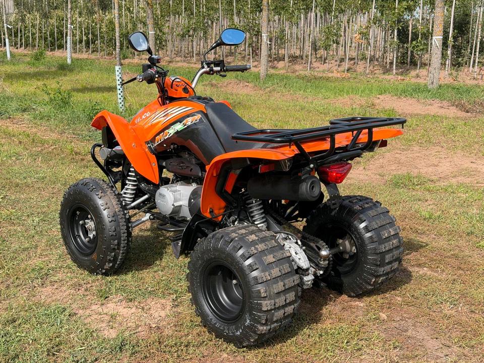 Kymco ATV/QUAD KYMCO MAXXER 300*SEILWINDE *SCHNESCHILD 2006 — interior