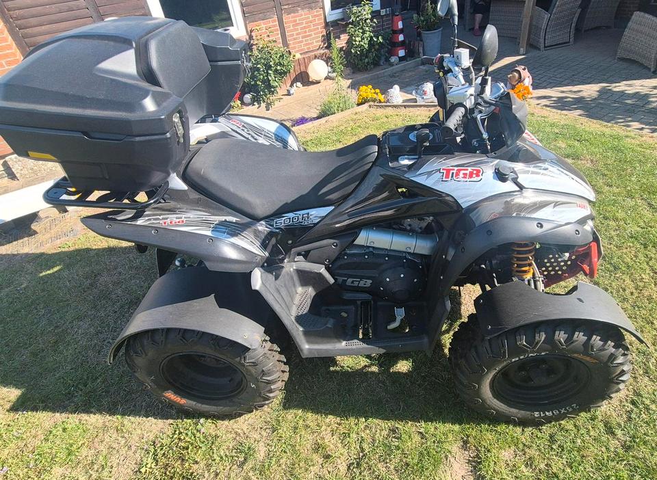 Weitere Motorräder Quad TGB Target 500R 4x4 2013 — вигляд ззаду
