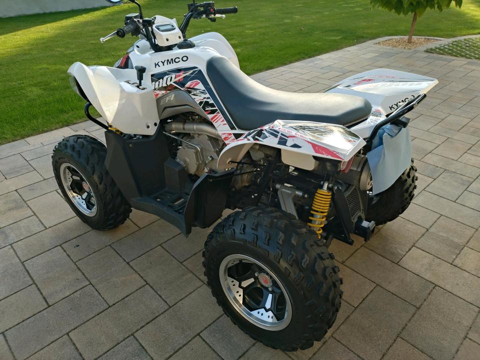 Kymco Gelöscht • Kymco Maxxer 450i Quad ATV 2011 — rear view