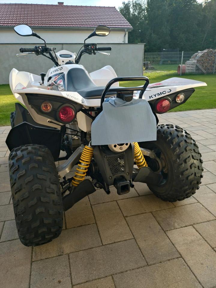 Kymco Gelöscht • Kymco Maxxer 450i Quad ATV 2011 — interior