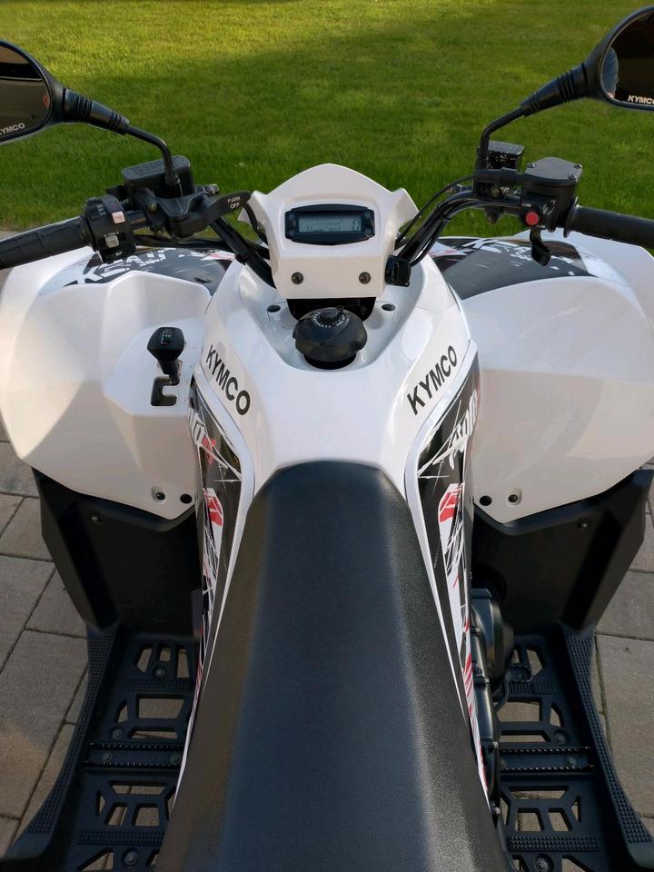 Kymco Gelöscht • Kymco Maxxer 450i Quad ATV 2011 — photo 5