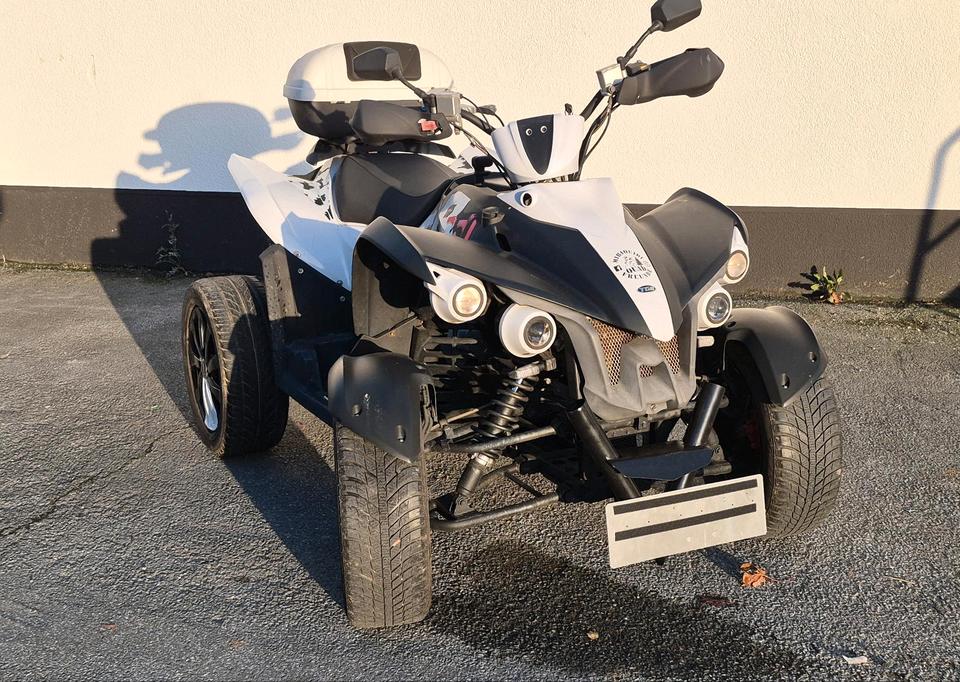 Weitere Motorräder Reserviert •Quad TGB Gunner 550 LOV 4x2 2011 — вигляд ззаду