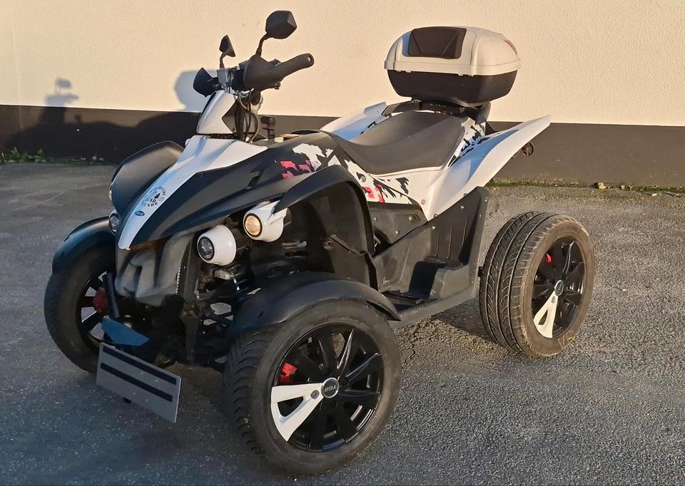 Weitere Motorräder Reserviert •Quad TGB Gunner 550 LOV 4x2 2011 — двигун 503 ccm