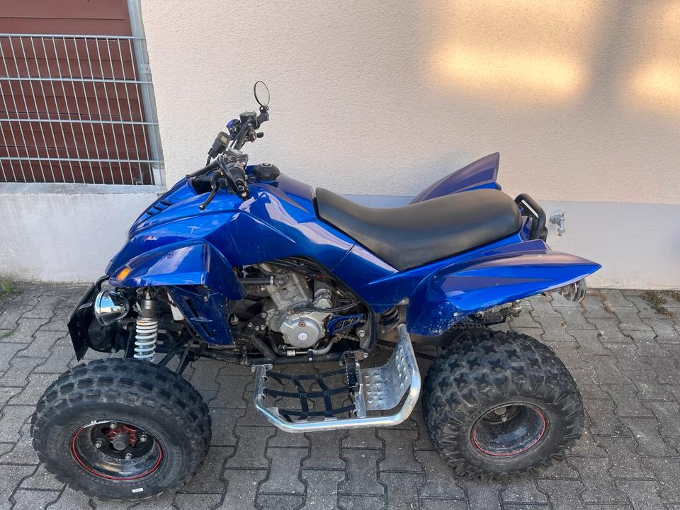  Quad Dinli 450s 2011 — вигляд ззаду