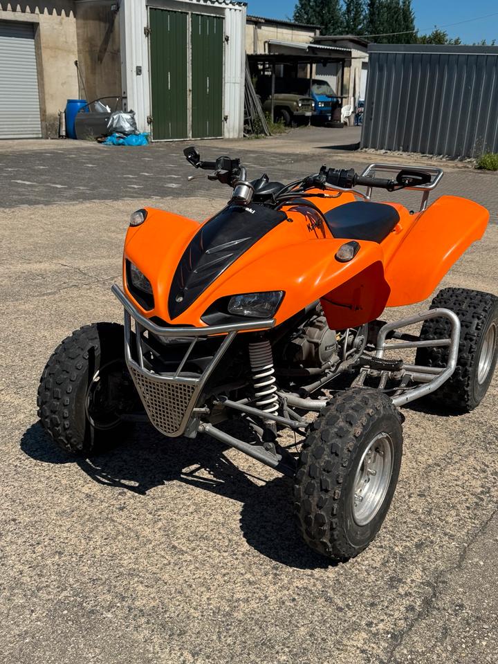Kawasaki Quad Kawasaki KFX 700 | Tuning | 78 PS | Sportauspuff 2004 — rear view