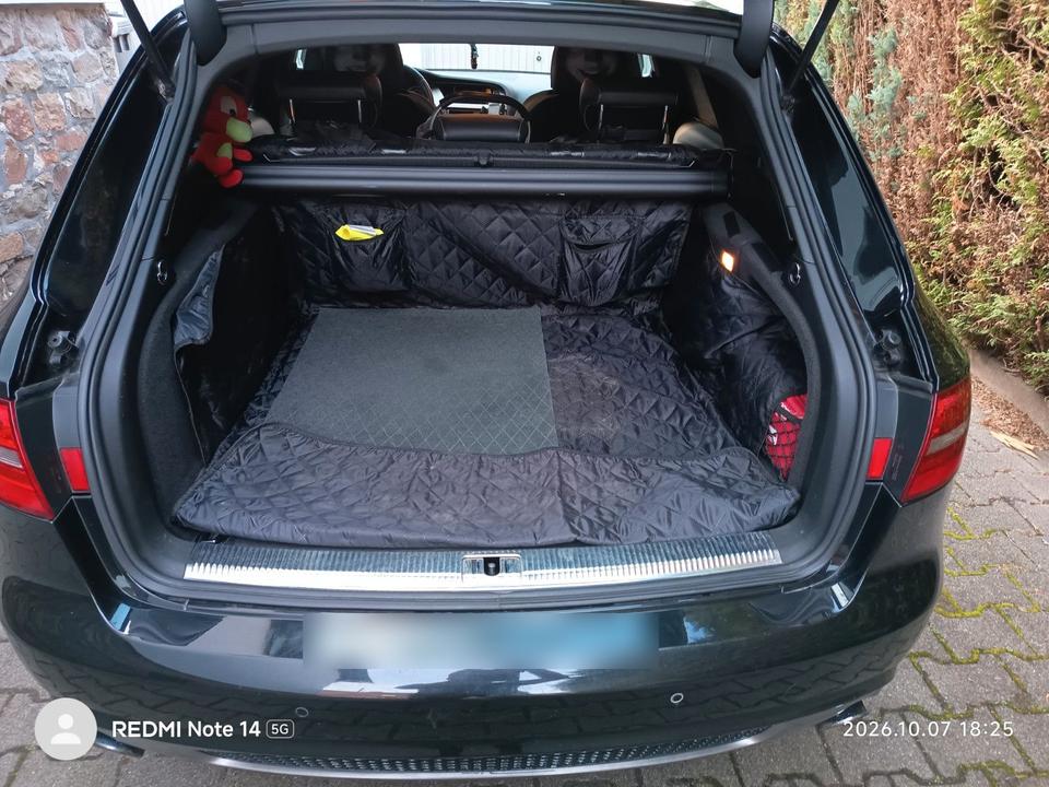 Audi A4 2009 — photo 10