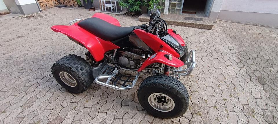 Honda Gelöscht • Honda TRX 400 EX LOF | 45 PS | Umbauten eingetragen | Projekt 2007 — rear view