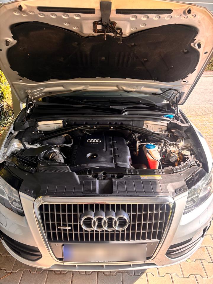 Audi Q5 2010 — photo 12