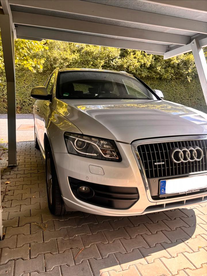 Audi Q5 2010 — rear view