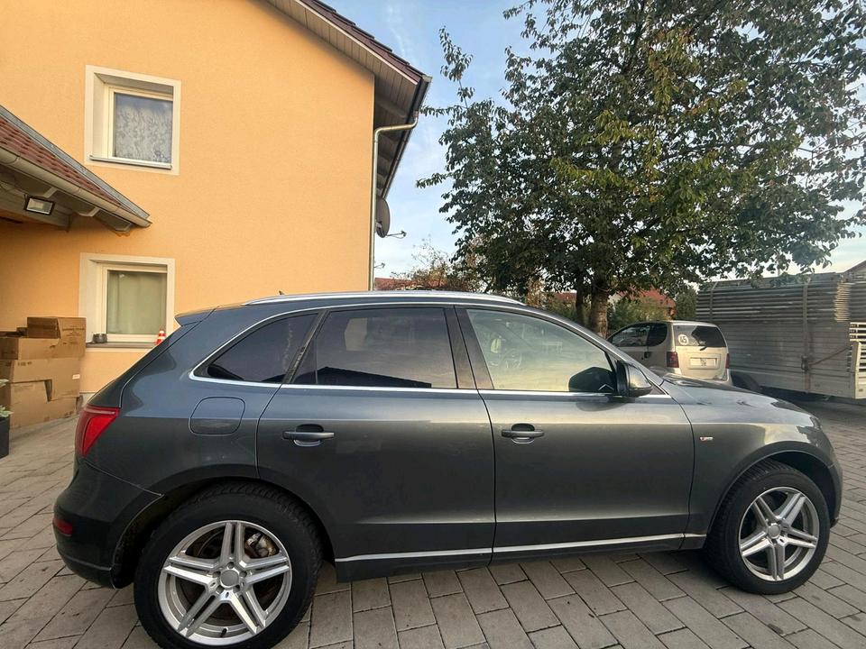 Audi Q5 2009 — вигляд ззаду