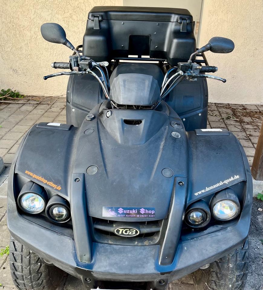 Weitere Motorräder TGB Blade 250 Quad 2008 — rear view