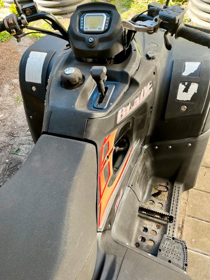 Weitere Motorräder TGB Blade 250 Quad 2008 — interior