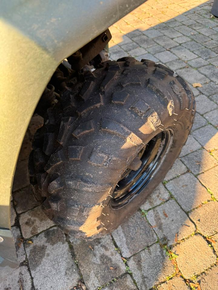 Weitere Motorräder Polaris Sportsman 800 EFI 4x4 LOF | Seilwinde | Schneeschild | 2010 — фото 17