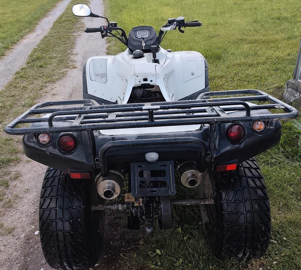  Quad TGB Blade 250 fahrbereit 20 PS 2009 — rear view
