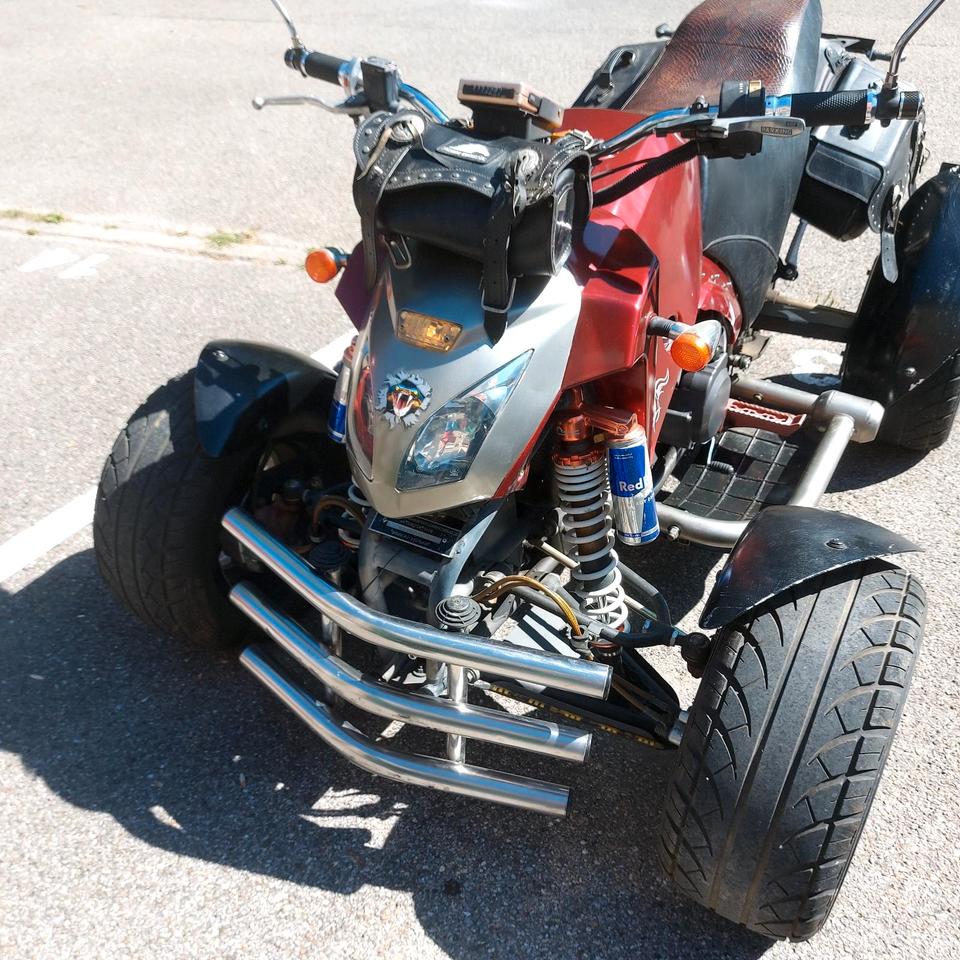  quard Bahsan300cc .Bs300S -18 2009 — вигляд ззаду