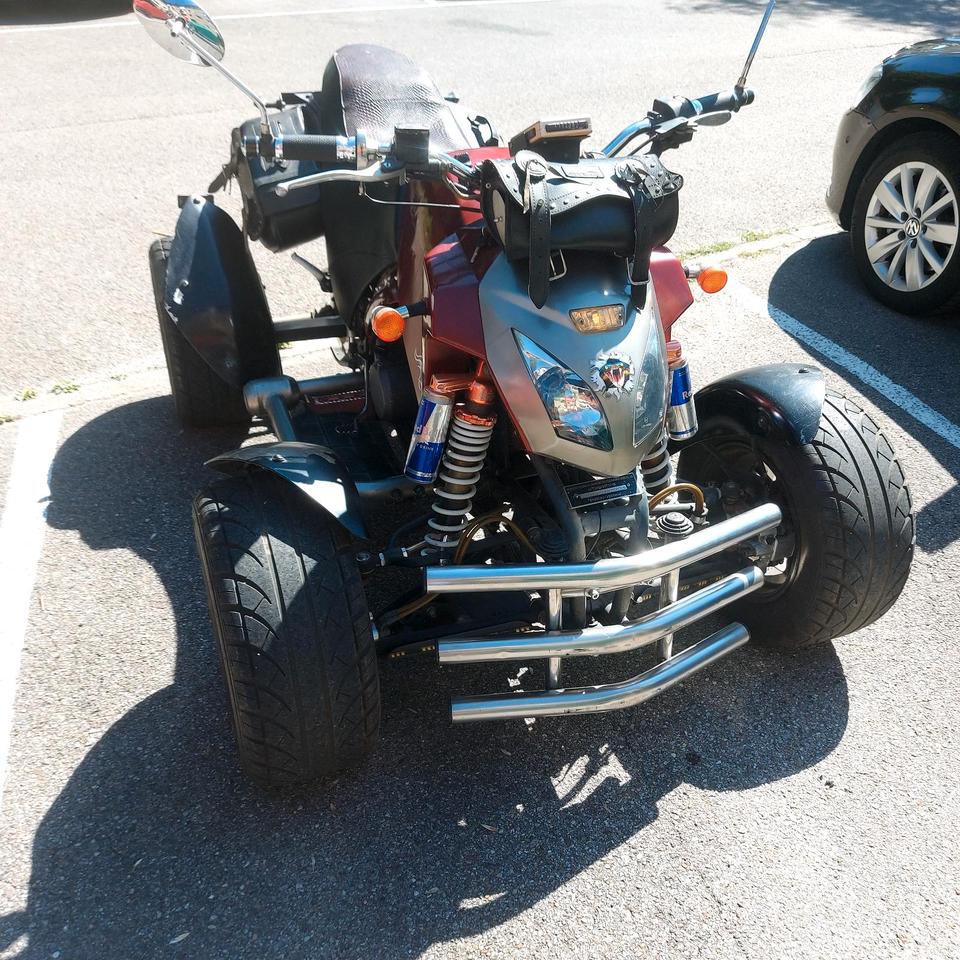  quard Bahsan300cc .Bs300S -18 2009 — фото 7