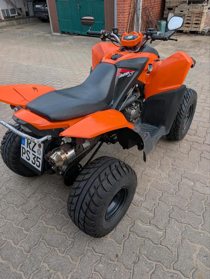 Weitere Motorräder Gelöscht • Quad Adly 320 Hurricane 2 Sitzer ATV TÜV 09/2028 2011 — вигляд ззаду