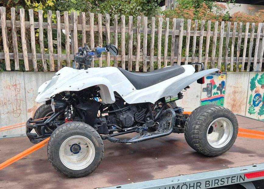 Weitere Motorräder Beeline ATV-A500 - 50 PS Quad mit LoF Zulassung 2004 — vehicle for AFU Ukraine