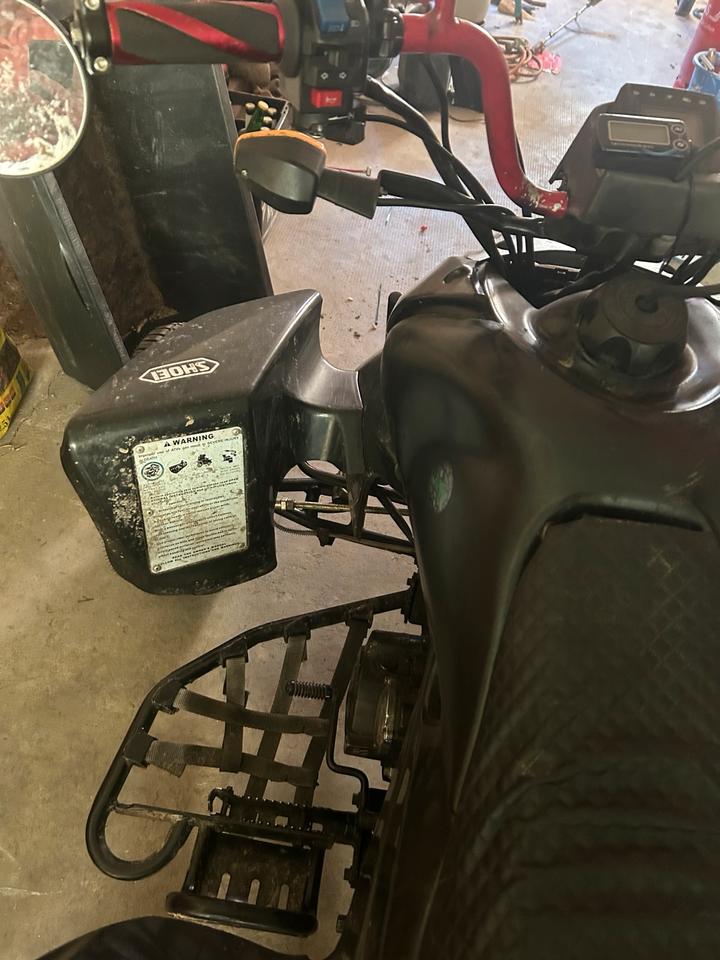 Weitere Motorräder Quad 250 ccm 2009 — двигун 250 ccm