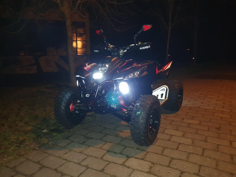 Weitere Motorräder Quad Beeline Bestia 5,5 / Online Bestia 5,5 ähnlich wie Adly usw. 2013 — вигляд ззаду