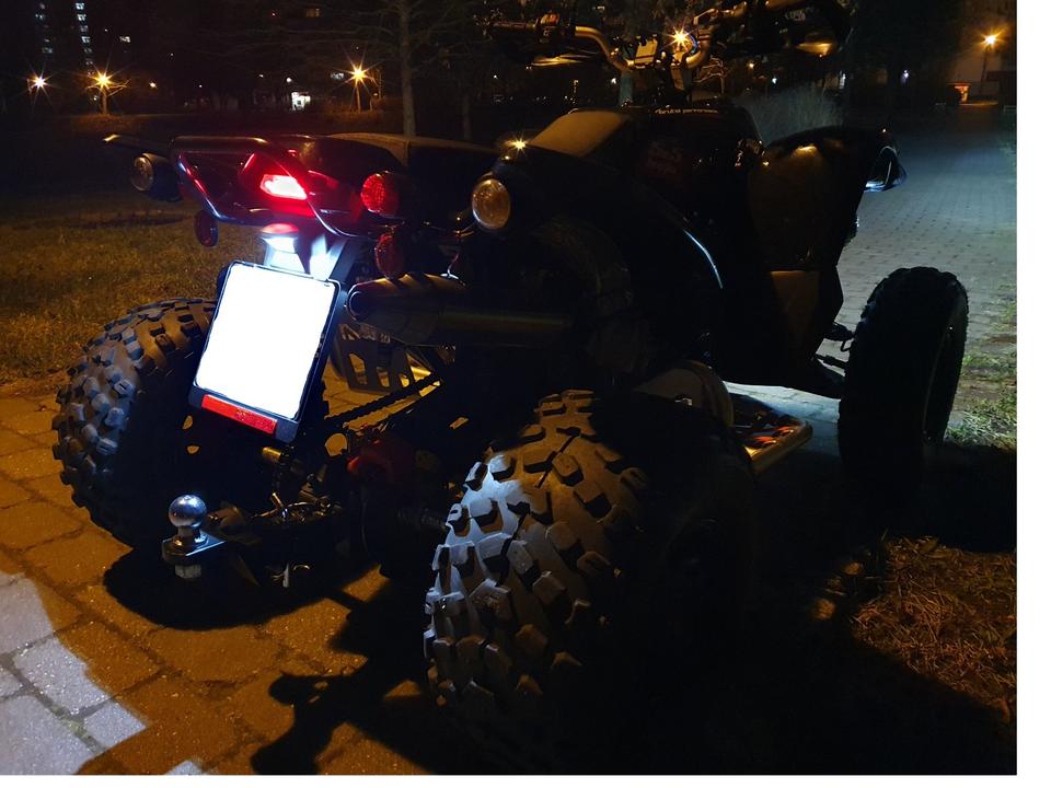 Weitere Motorräder Quad Beeline Bestia 5,5 / Online Bestia 5,5 ähnlich wie Adly usw. 2013 — салон
