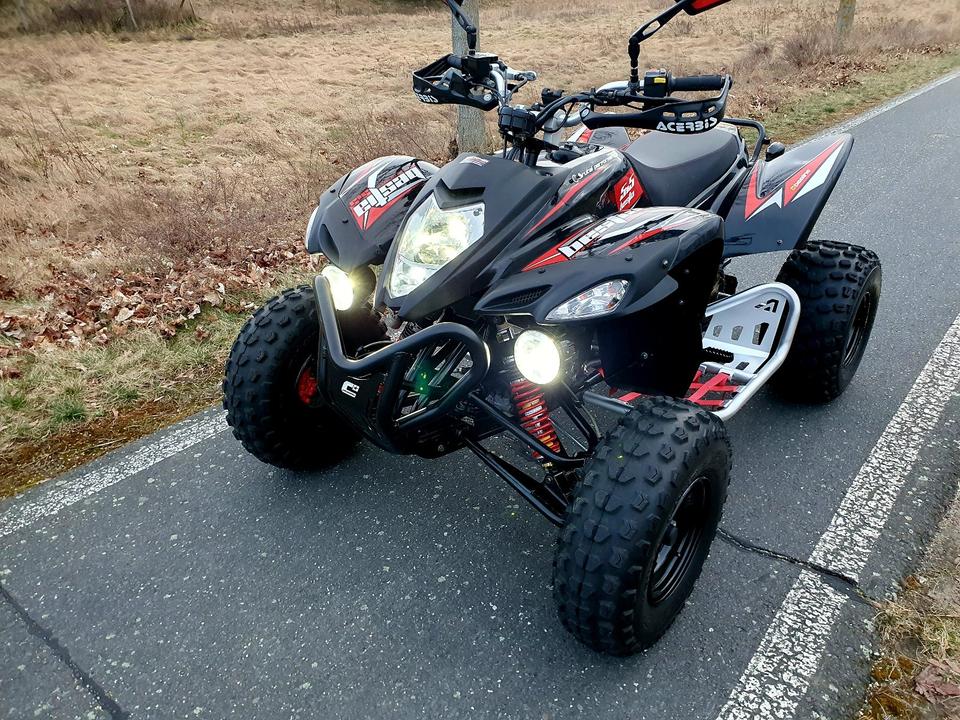 Weitere Motorräder Quad Beeline Bestia 5,5 / Online Bestia 5,5 ähnlich wie Adly usw. 2013 — фото 8